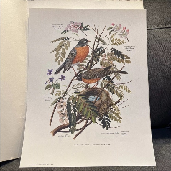 Vintage Arthur Singer Bird Prints Set Of 8 - Picture 7 of 13